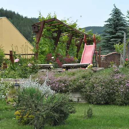 Brezata - Betula