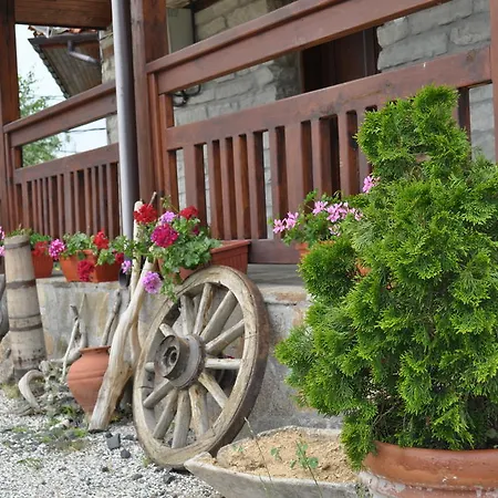 펜션 Brezata - Betula *